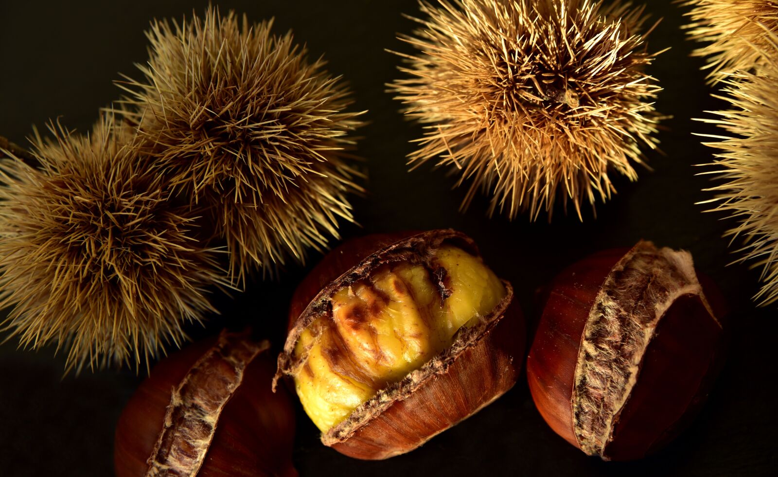 Nikon D750 sample photo. Chestnut, sweet chestnuts, maroni photography