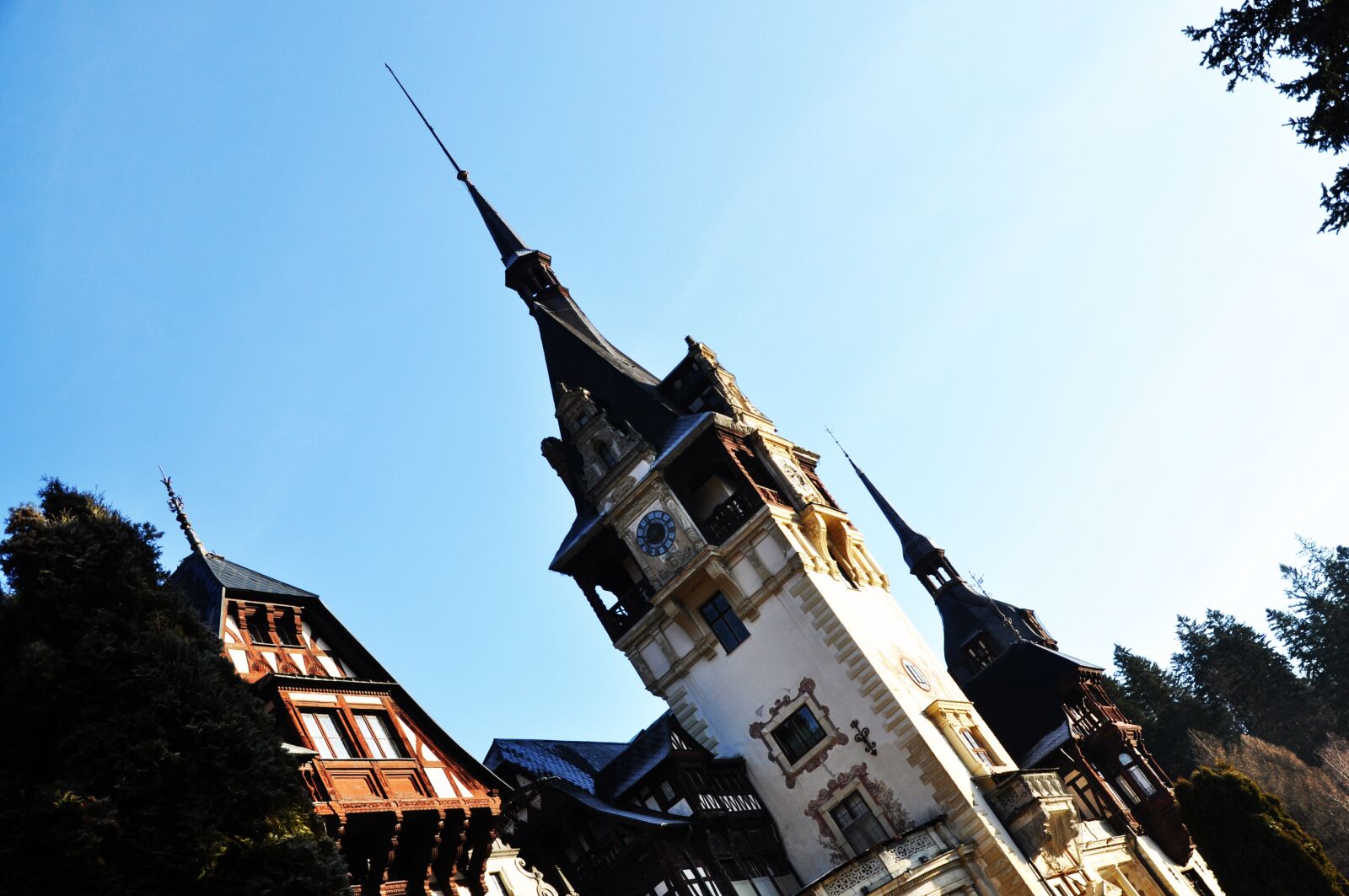 Nikon D5000 sample photo. Nature, palace, fortress photography