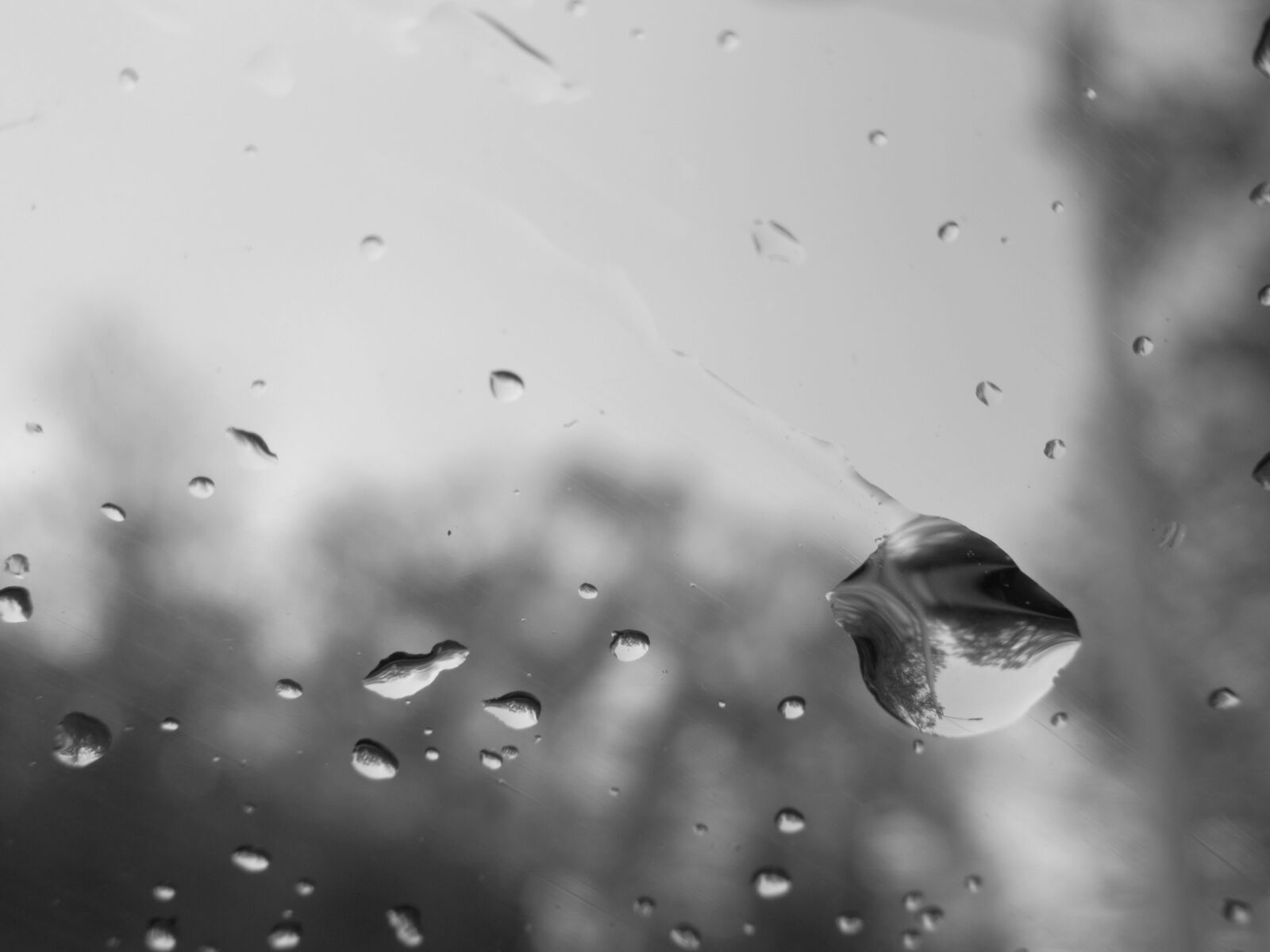 Canon PowerShot SX610 HS sample photo. Rain, water, glass photography