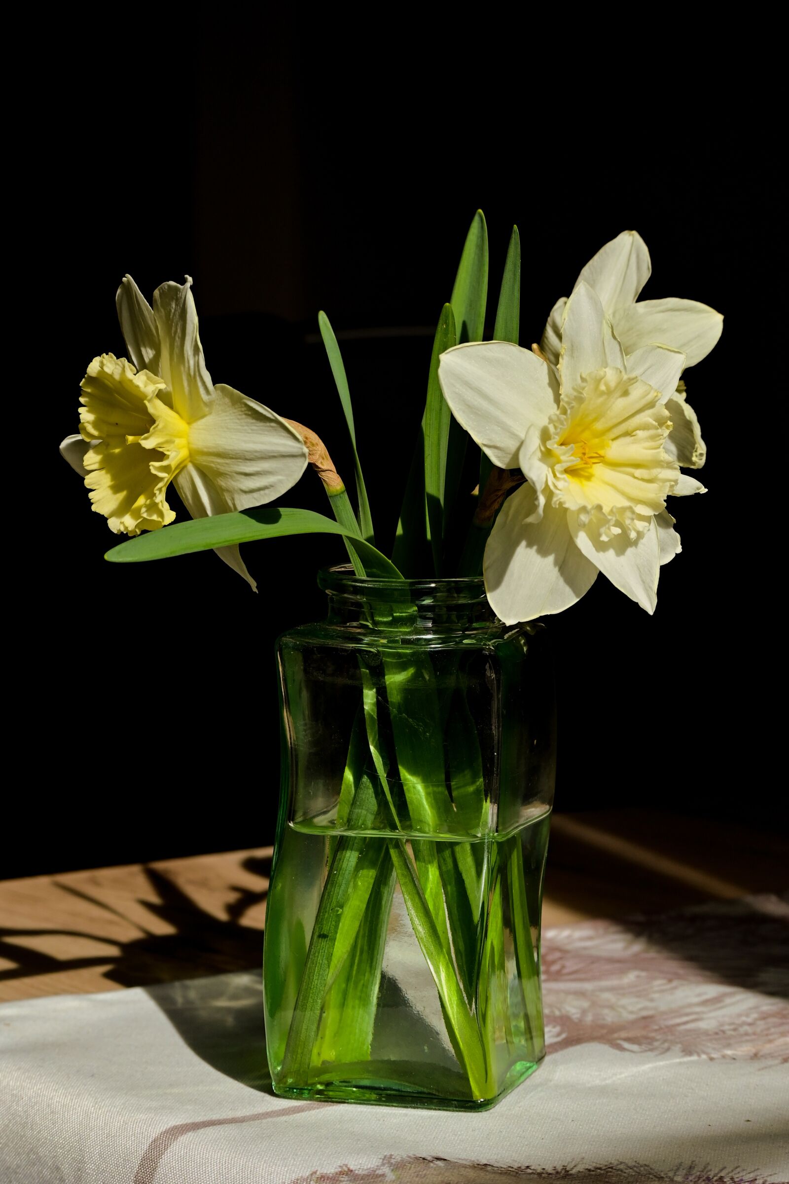 Nikon Z 50 sample photo. Daffodils, vase, spring photography