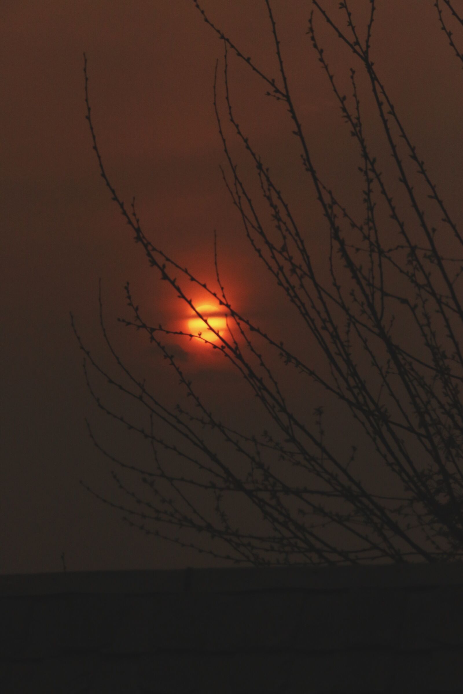 Canon EOS 70D sample photo. Fall, life, sun, sunset photography