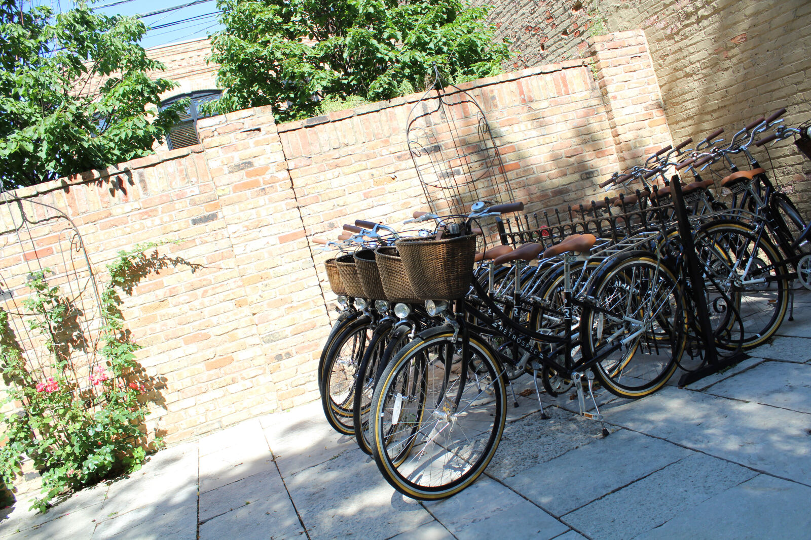 Canon EOS 1300D (EOS Rebel T6 / EOS Kiss X80) sample photo. Bicycle, bicycle, parking, green photography