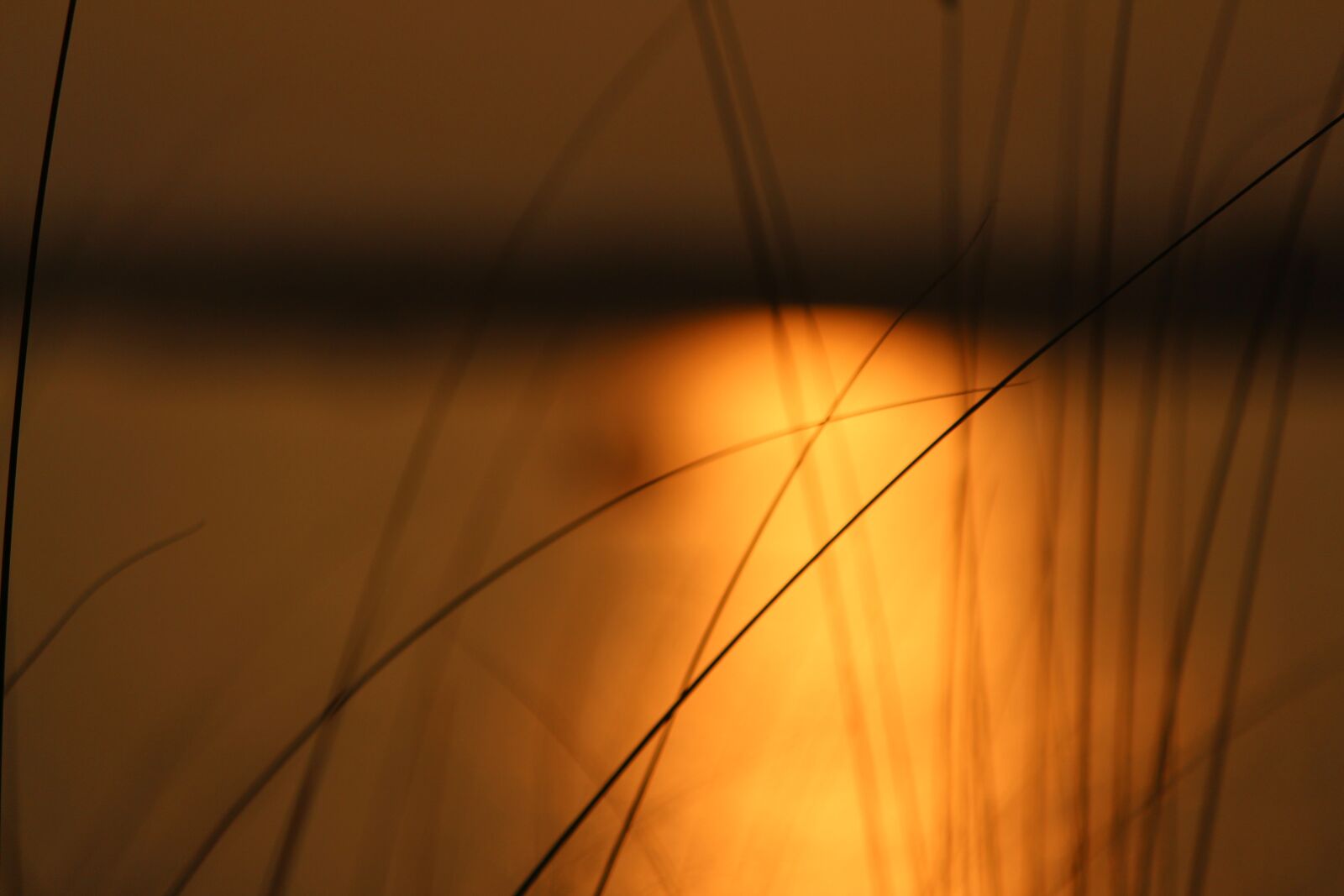 Canon EOS 700D (EOS Rebel T5i / EOS Kiss X7i) sample photo. Grass, river, grass beside photography