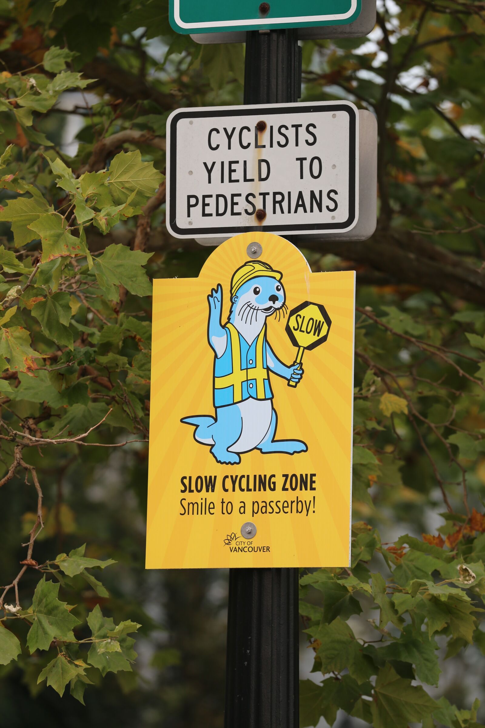 Canon EOS 6D sample photo. Cyclist, pedestrians, slow zone photography