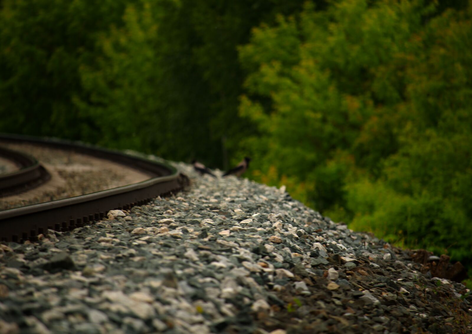 Canon EOS 1200D (EOS Rebel T5 / EOS Kiss X70 / EOS Hi) sample photo. Stones, rails, train photography