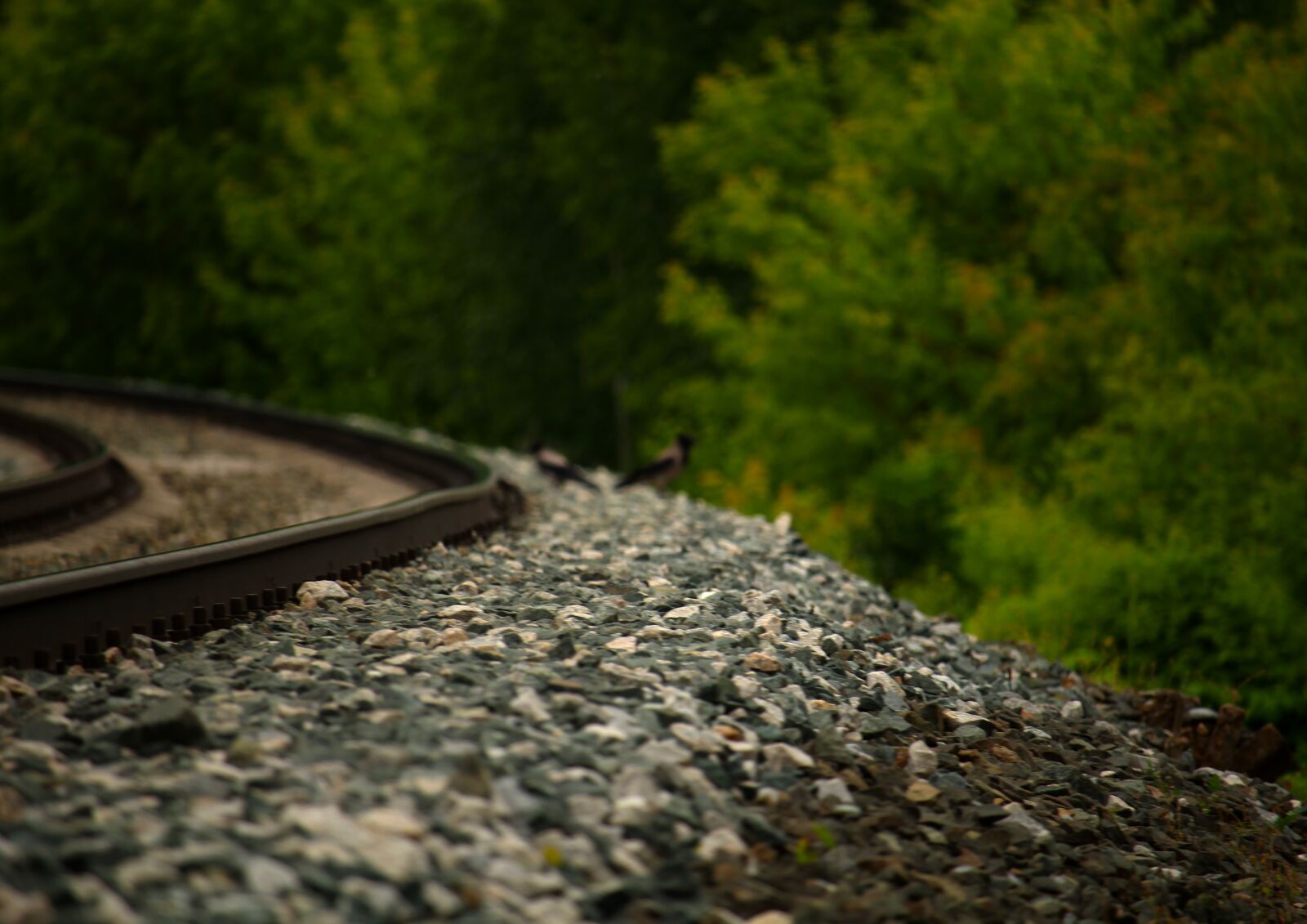 Canon EOS 1200D (EOS Rebel T5 / EOS Kiss X70 / EOS Hi) + Canon EF-S 55-250mm F4-5.6 IS STM sample photo. Stones, rails, train photography