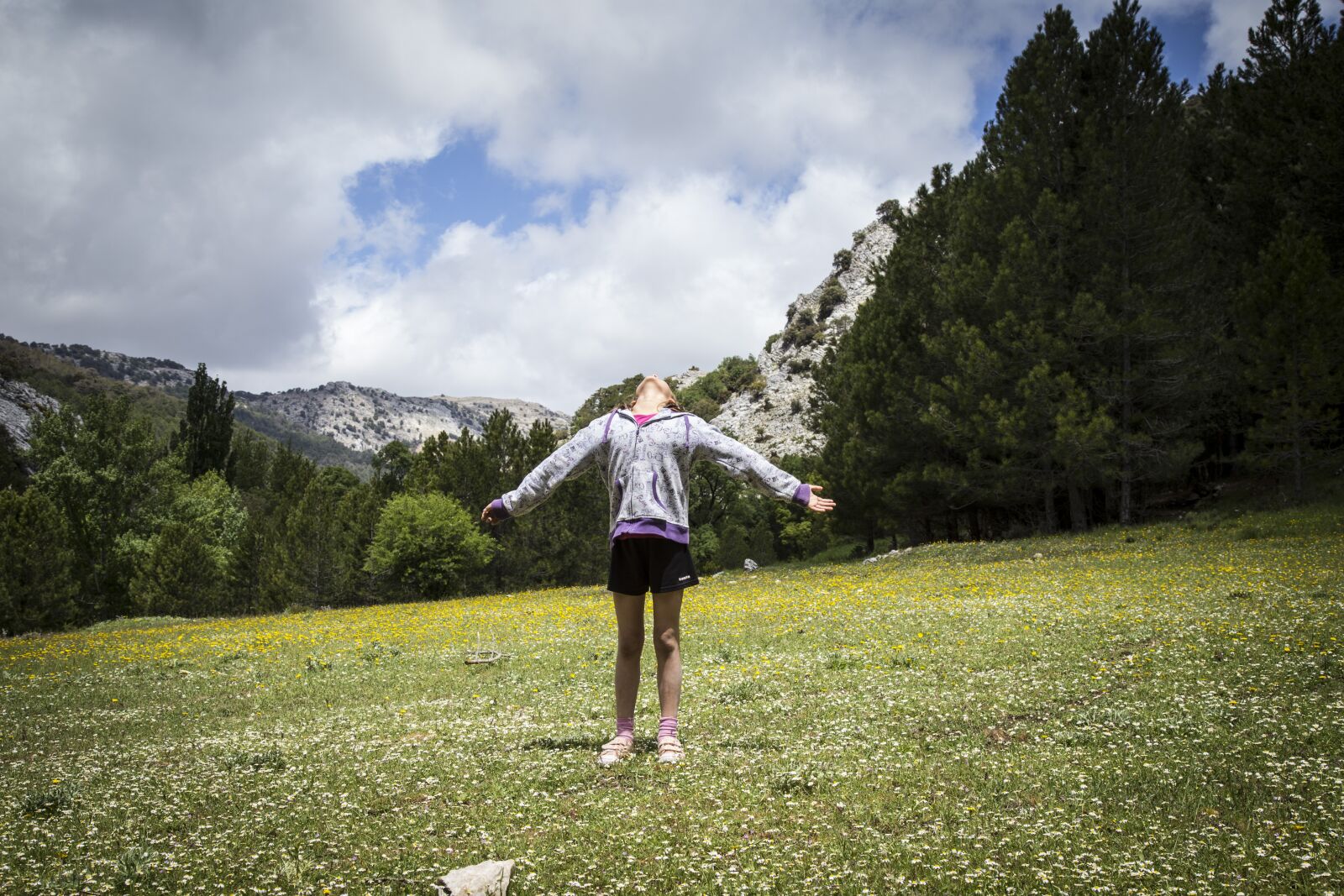 Canon EOS 6D + Canon EF 24-105mm F4L IS USM sample photo. Prado, nature, landscape photography