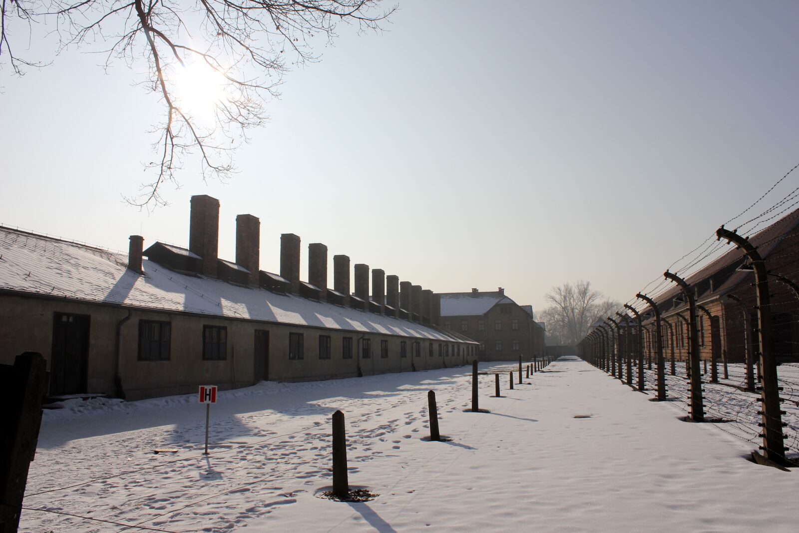 Canon EOS 550D (EOS Rebel T2i / EOS Kiss X4) sample photo. Auschwitz, poland, holocaust photography