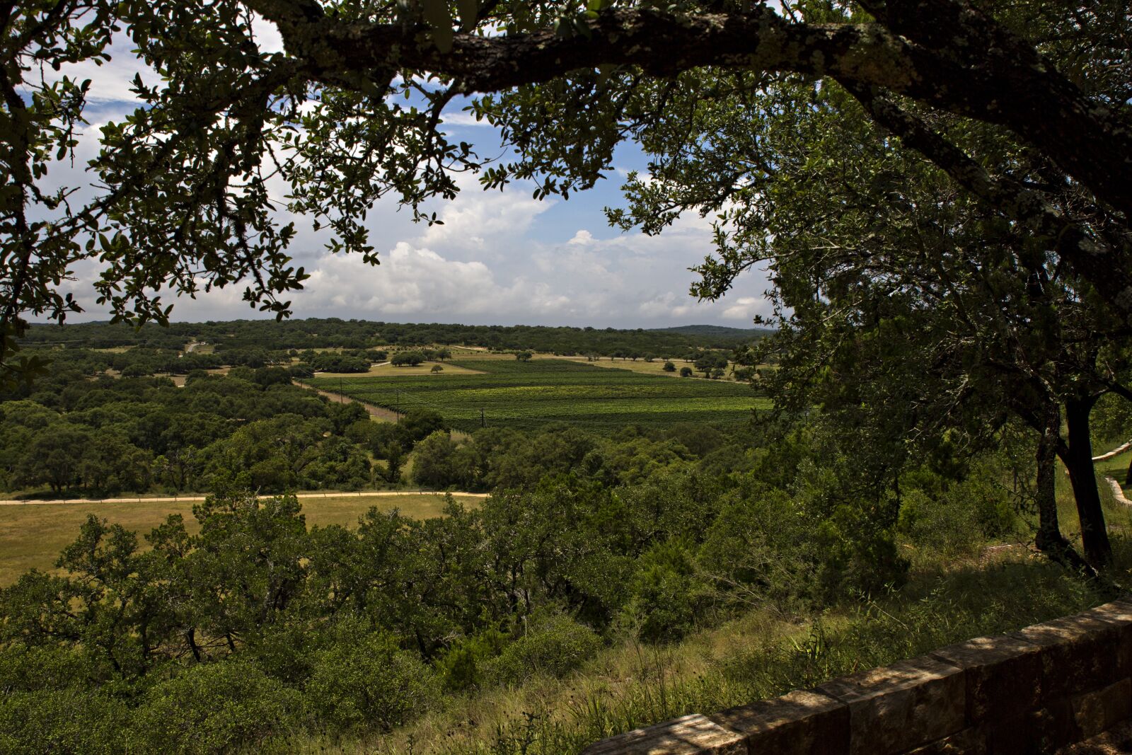 Canon EOS 5D Mark III sample photo. Winery, landscape, green photography