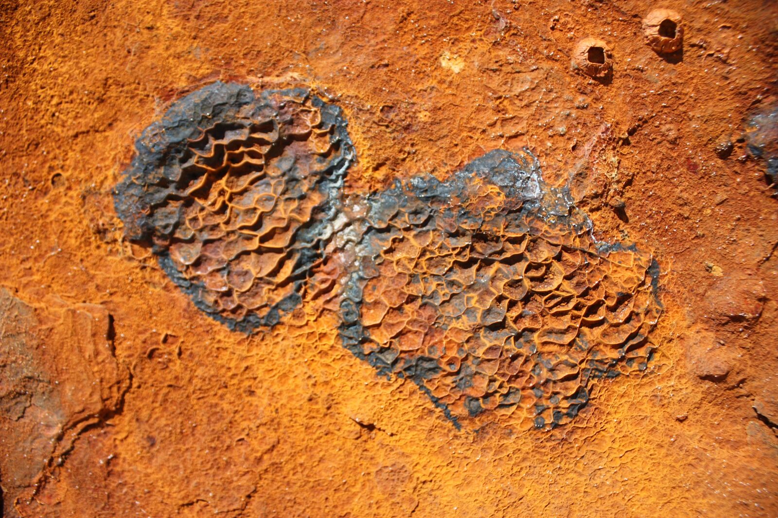 Canon EOS 450D (EOS Rebel XSi / EOS Kiss X2) sample photo. Rust, ship, orange photography