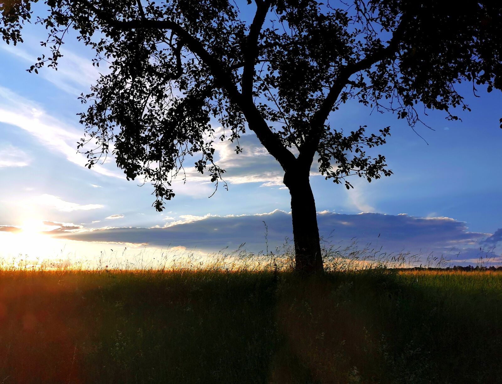 HUAWEI P30 sample photo. Sun, evening, sky photography