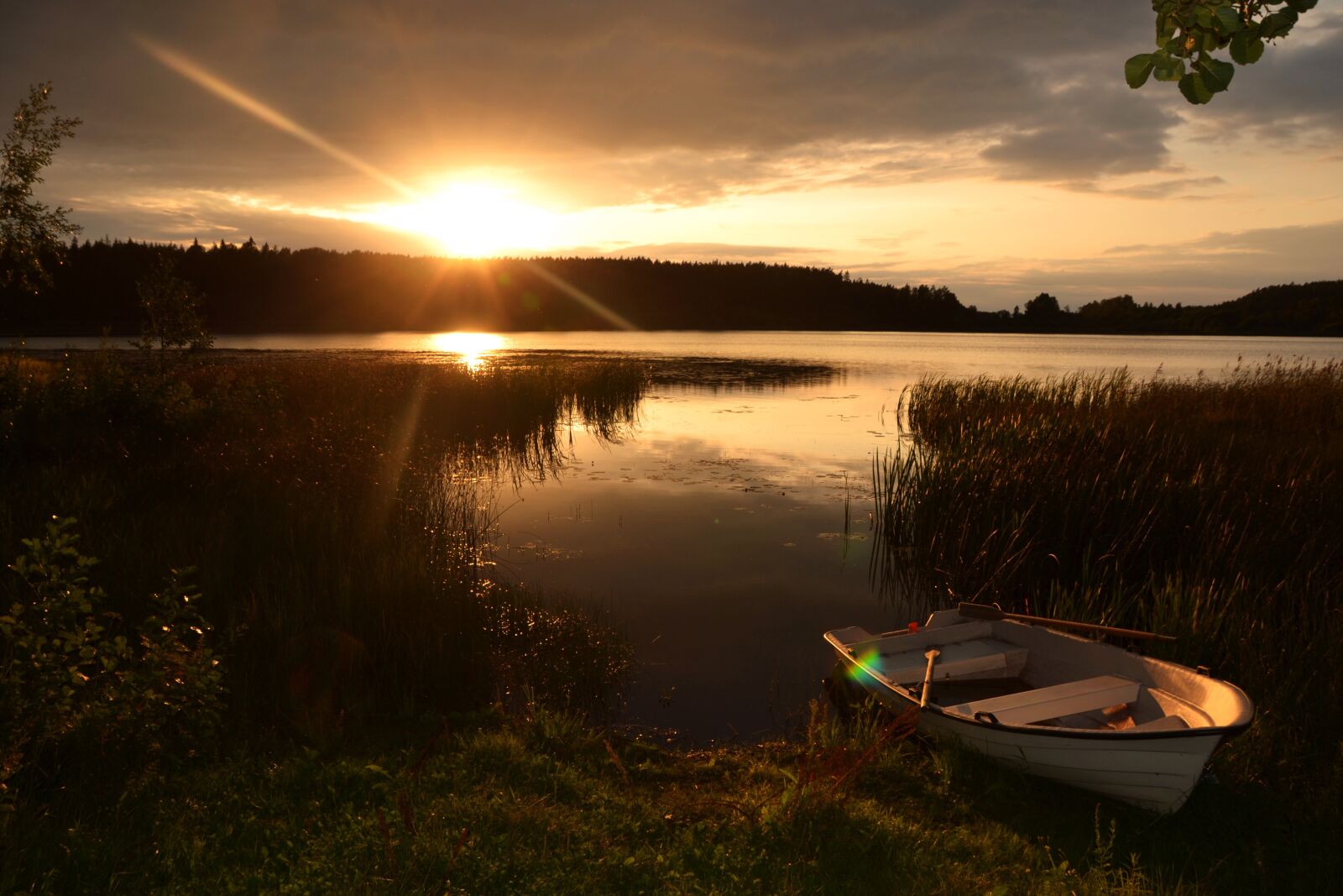 Nikon D3100 sample photo. Sunset, landscape, nature photography