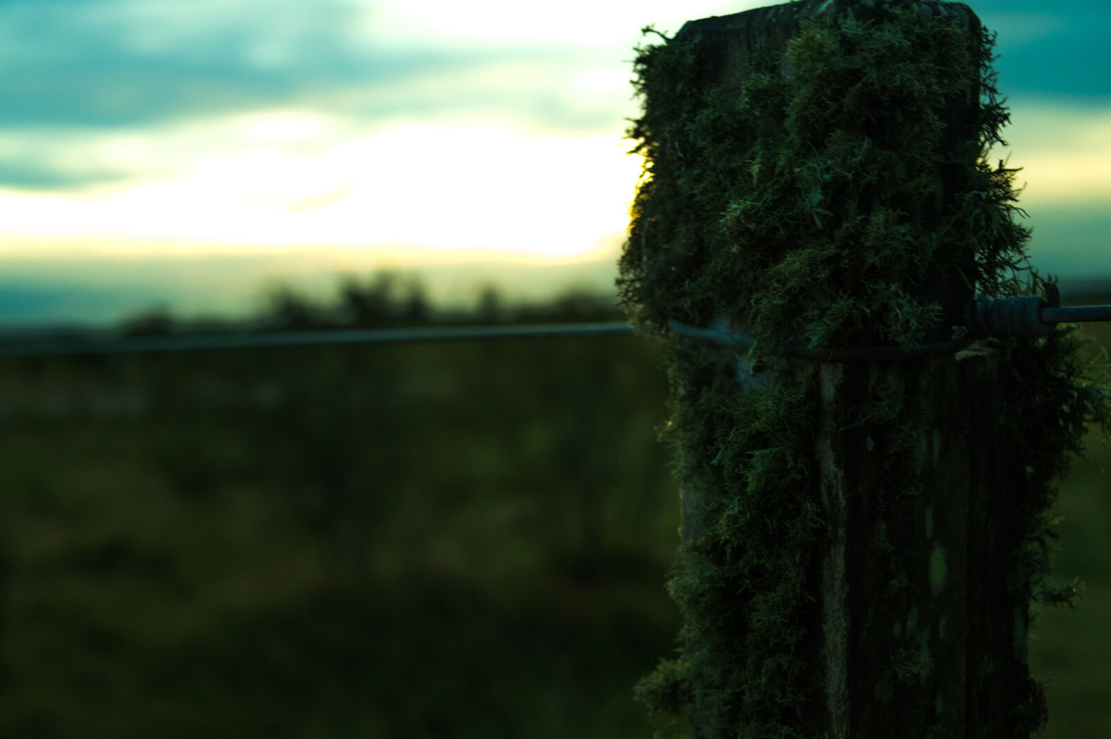 Nikon D3200 sample photo. Cloudy, sky, green photography