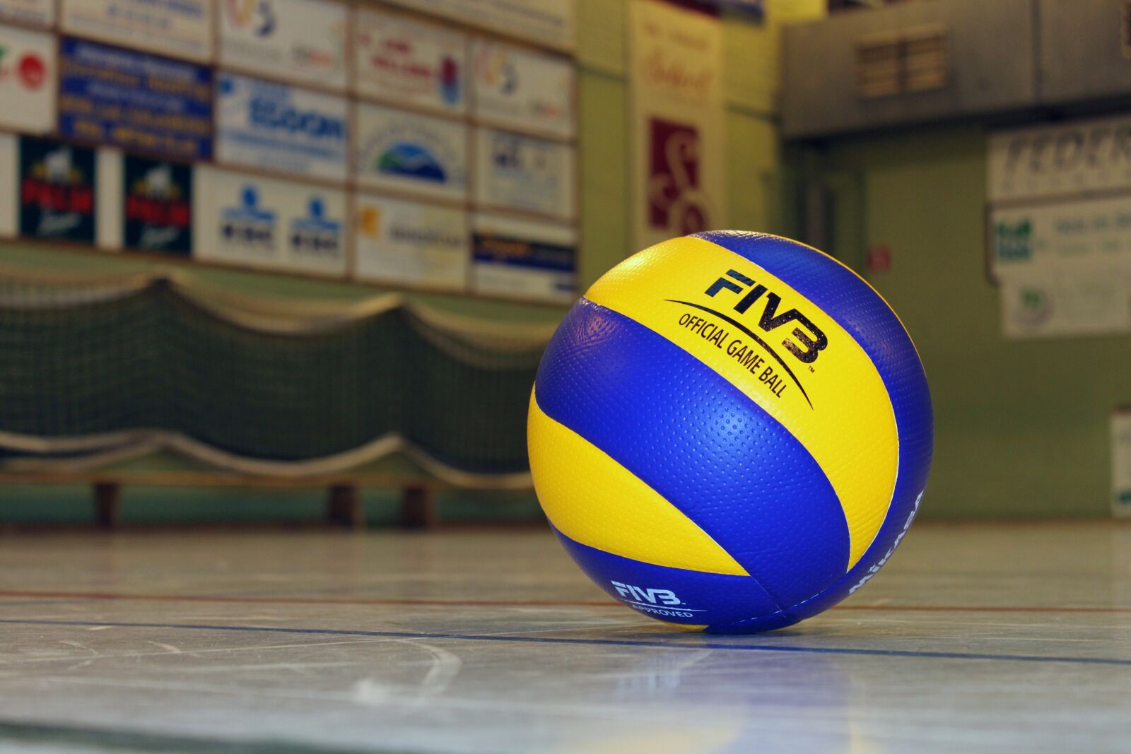 Canon EOS 500D (EOS Rebel T1i / EOS Kiss X3) sample photo. Volleyball, ball, sport photography