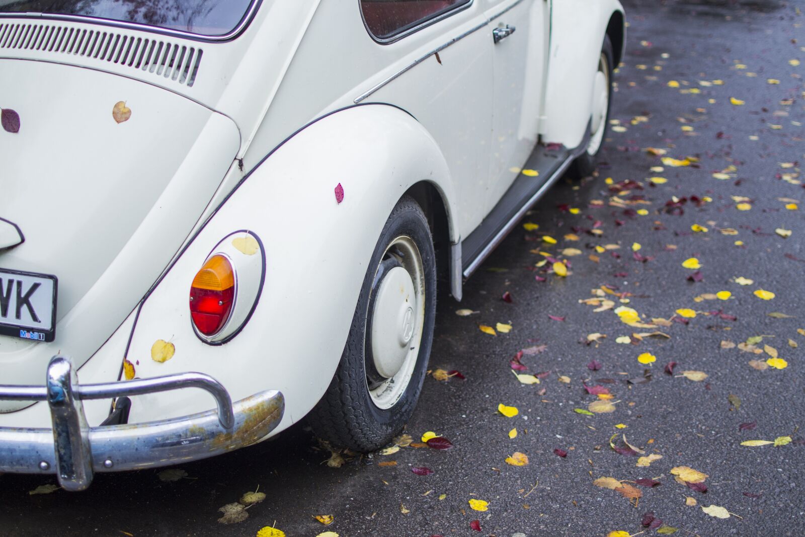 Nikon D3100 sample photo. Leaves, car, leaf photography