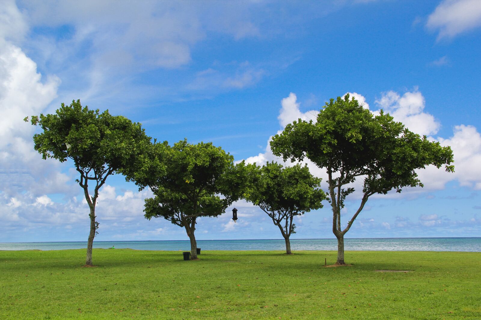 Canon EF-S 18-135mm F3.5-5.6 IS sample photo. Hawaii, oahu, trees photography