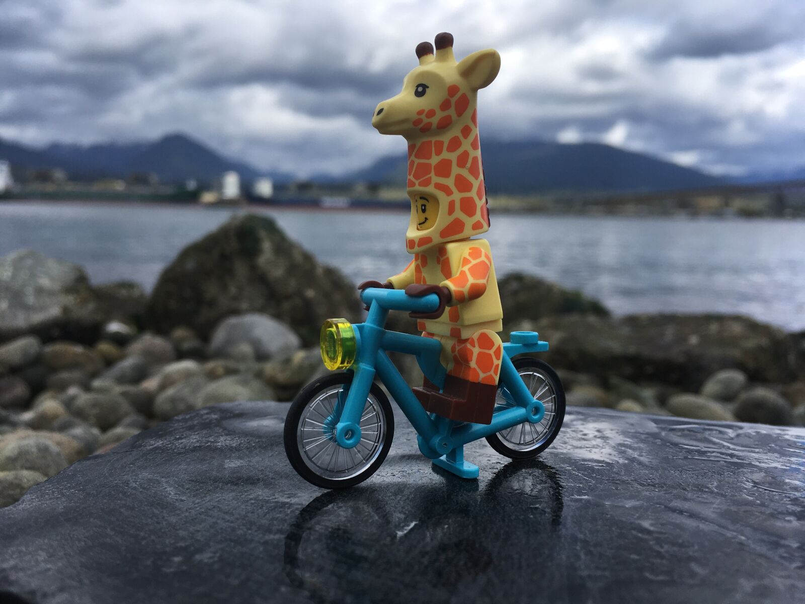 iPhone SE back camera 4.15mm f/2.2 sample photo. Lego photo, ocean, vancouver photography