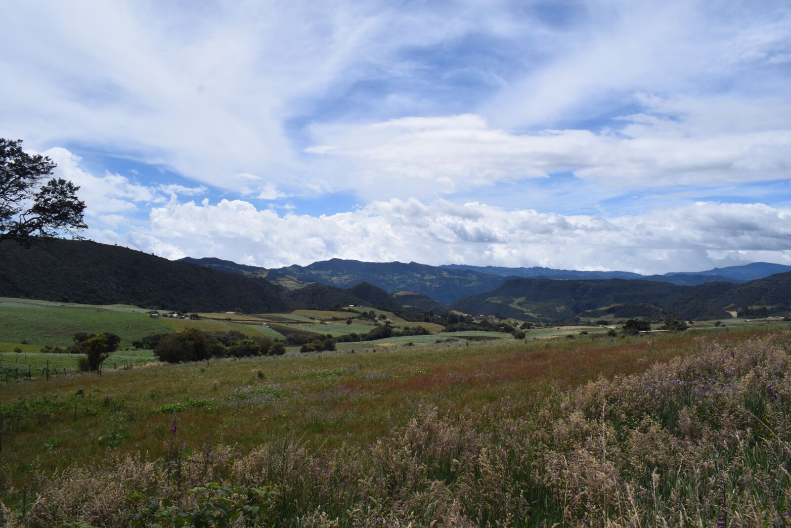 Nikon D3300 sample photo. Landscape, colombia, field photography