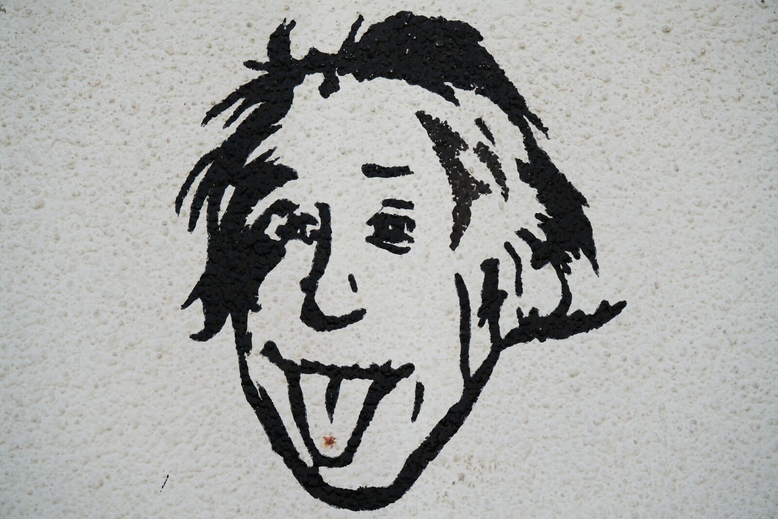 Sony a7R II sample photo. Albert einstein, science, painting photography