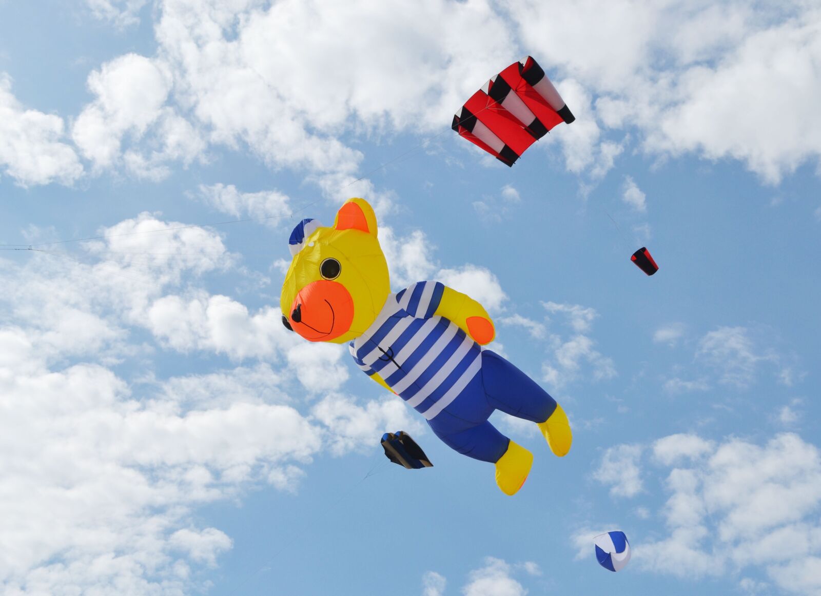 Nikon D3100 sample photo. Kite, dragons, sky photography