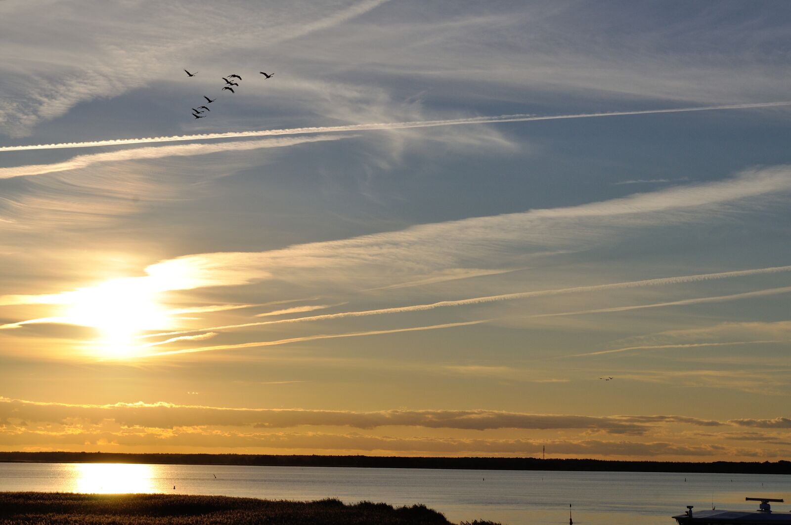 Nikon D5000 sample photo. Cranes, nature, sunset photography