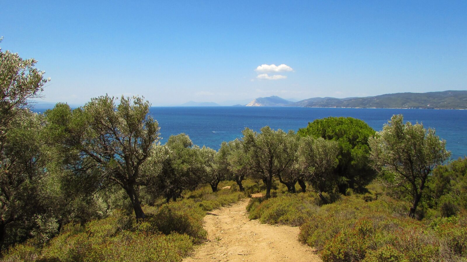 Canon PowerShot SX400 IS sample photo. Greece, skiathos, nature photography