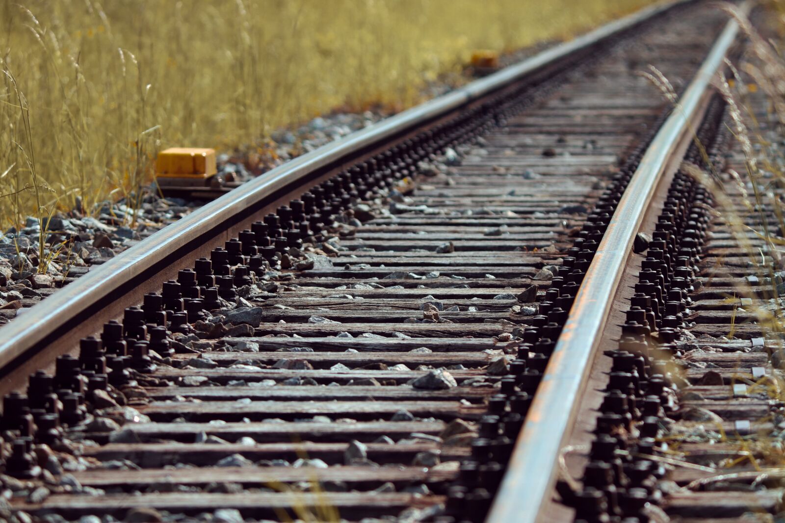 Canon EOS 200D (EOS Rebel SL2 / EOS Kiss X9) sample photo. Gleise, railway, rails photography