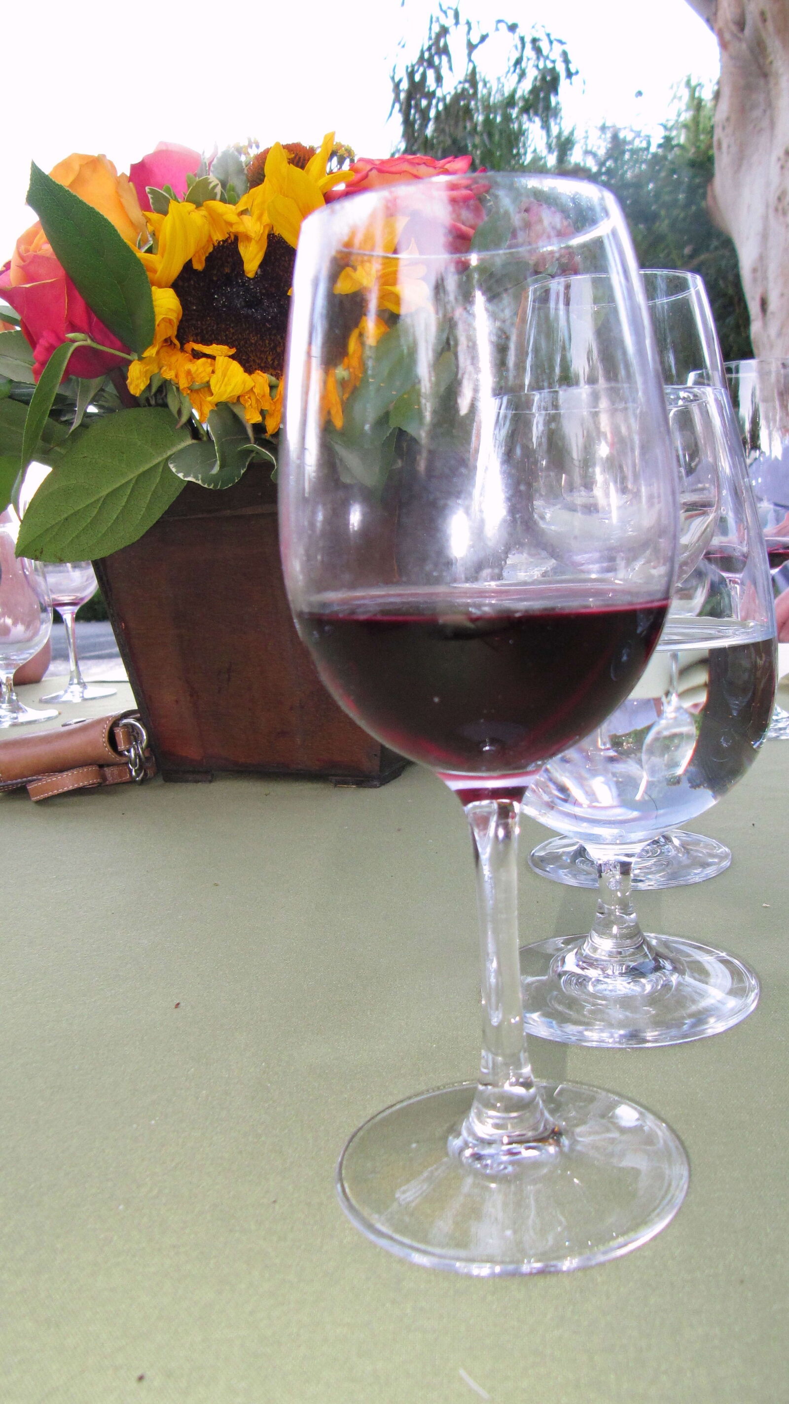 Canon PowerShot SX200 IS sample photo. Wine, glass, red, wine photography