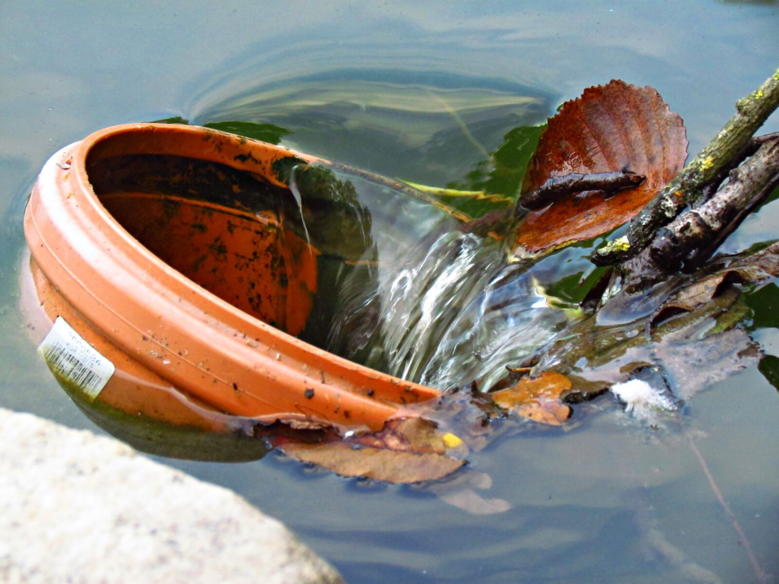 Canon PowerShot SX30 IS sample photo. Flower pot, water, various photography