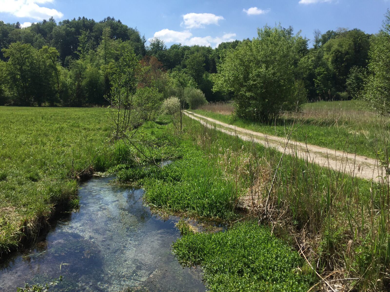 iPhone 6 back camera 4.15mm f/2.2 sample photo. Copper valley, spring, bach photography