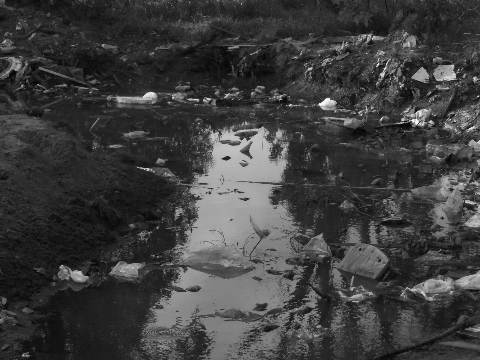 Nikon COOLPIX L315 sample photo