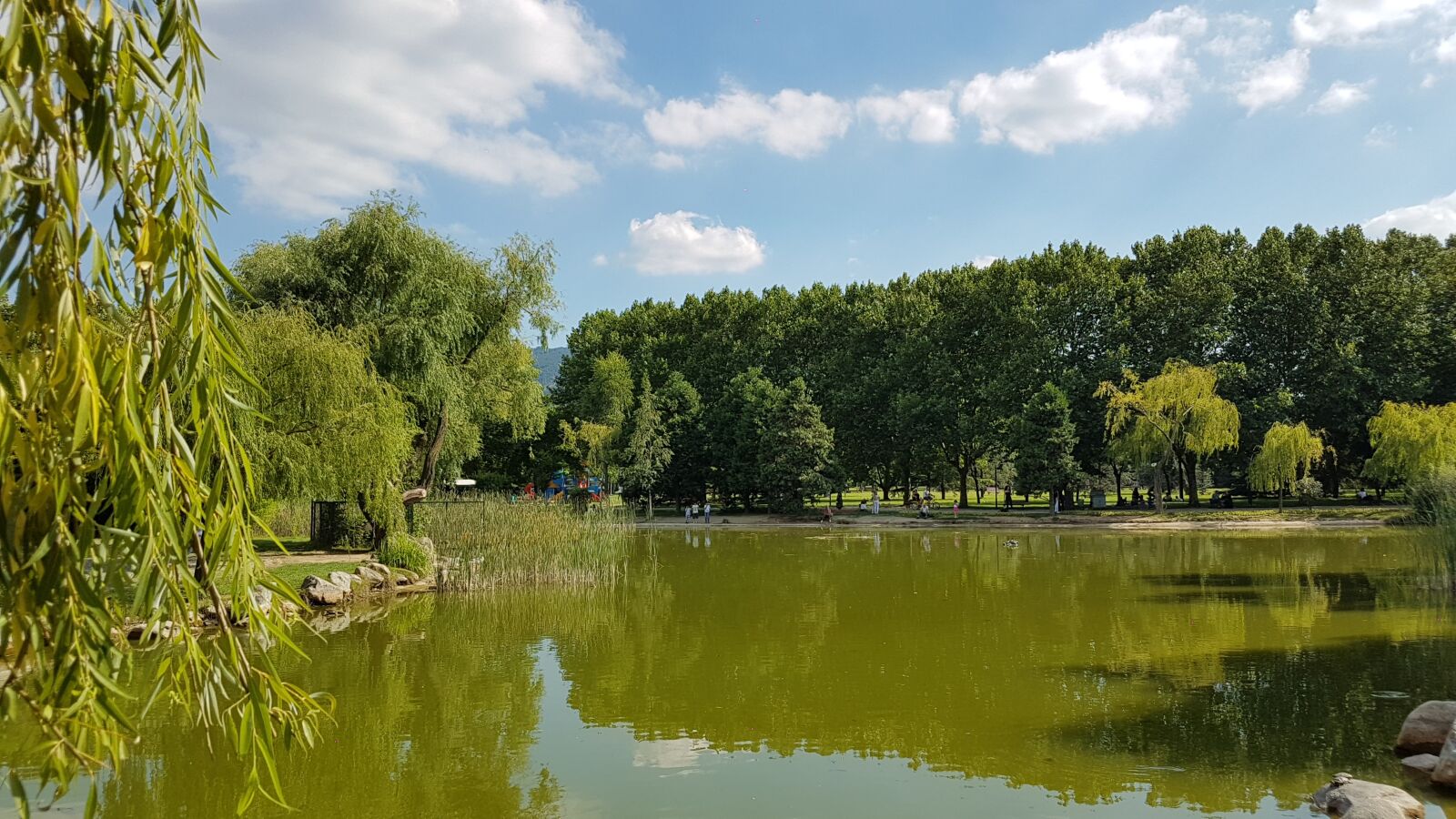Samsung Galaxy S7 Edge sample photo. Lake, landscape, tree photography