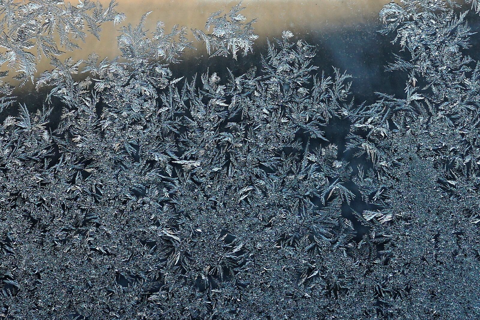 Sony a6000 sample photo. Cold, cool, frost photography