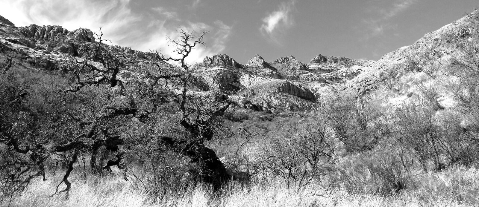 Samsung Galaxy S4 sample photo