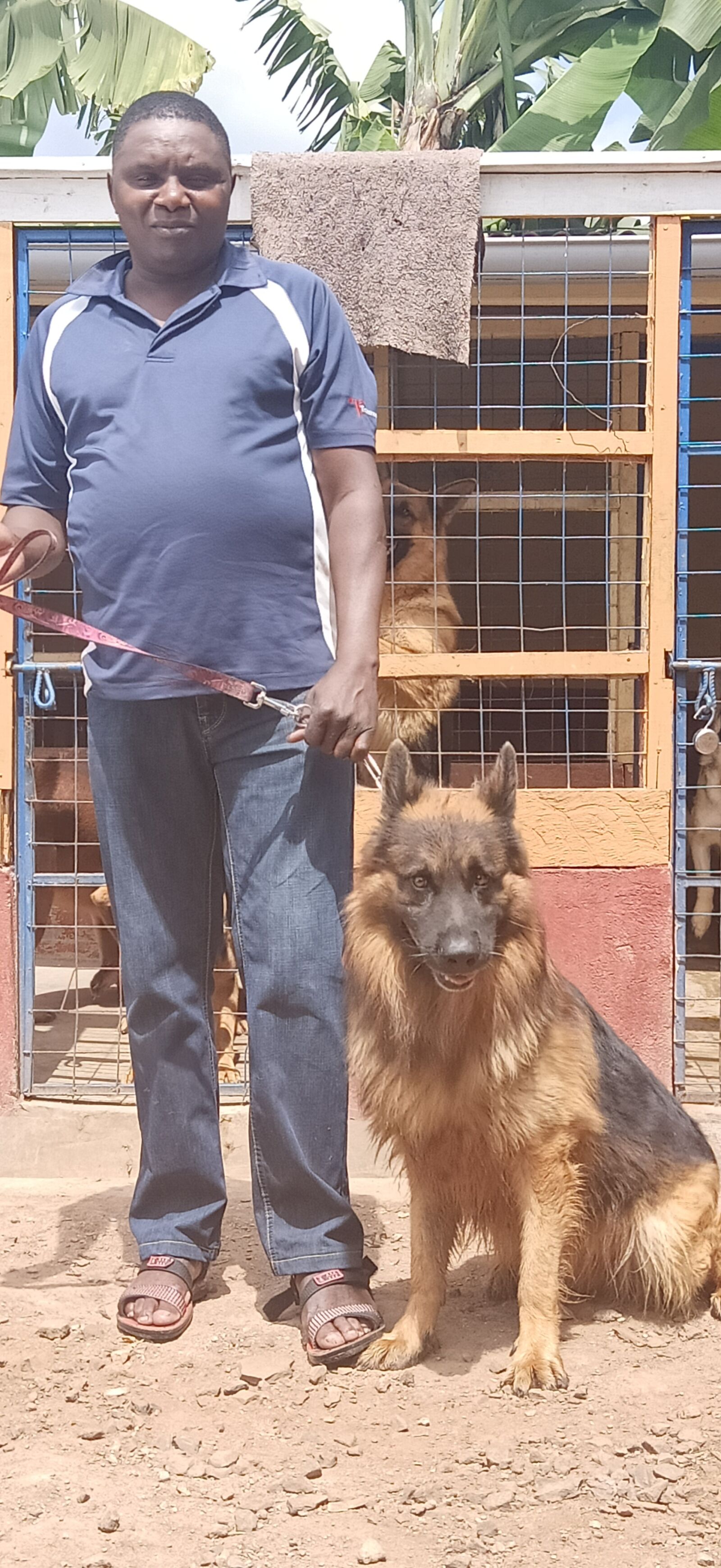 OPPO F11 sample photo. Dog, breeder, kenya photography