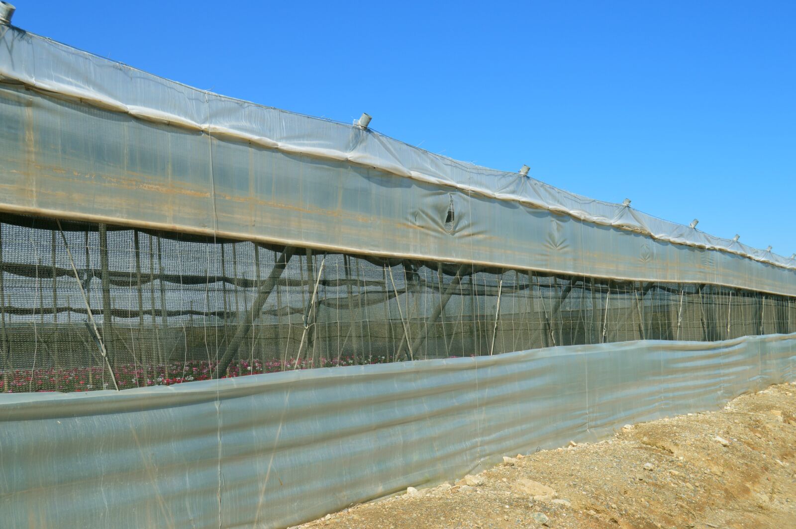 Nikon D3200 sample photo. Greenhouse, cultivation, plastic photography