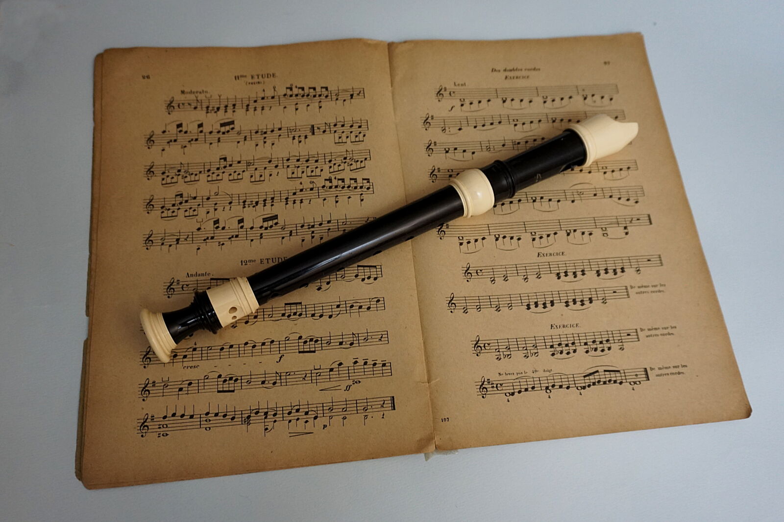 Sony a6000 sample photo. Artistes, concert, flute, a photography
