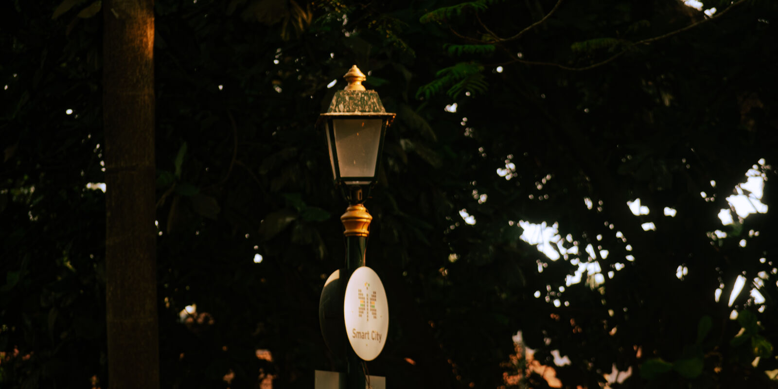 Nikon D3100 sample photo