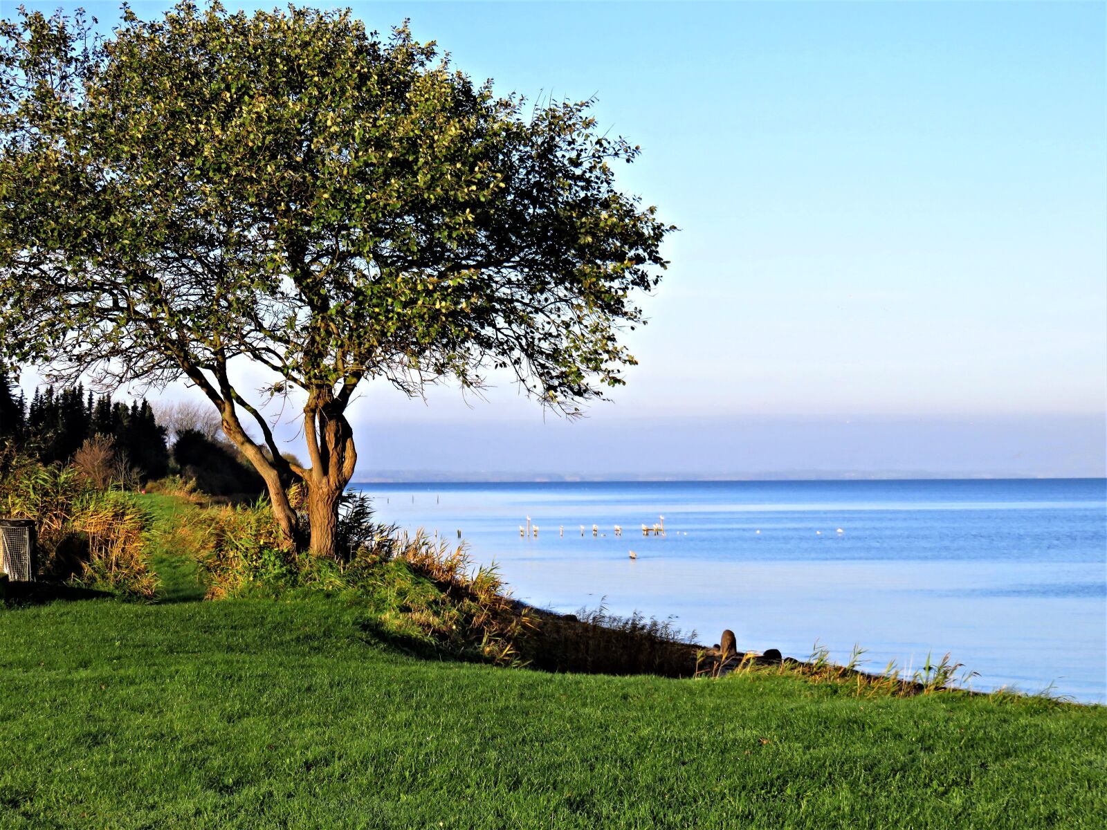 Canon PowerShot SX710 HS sample photo. Baltic sea, denmark, sea photography