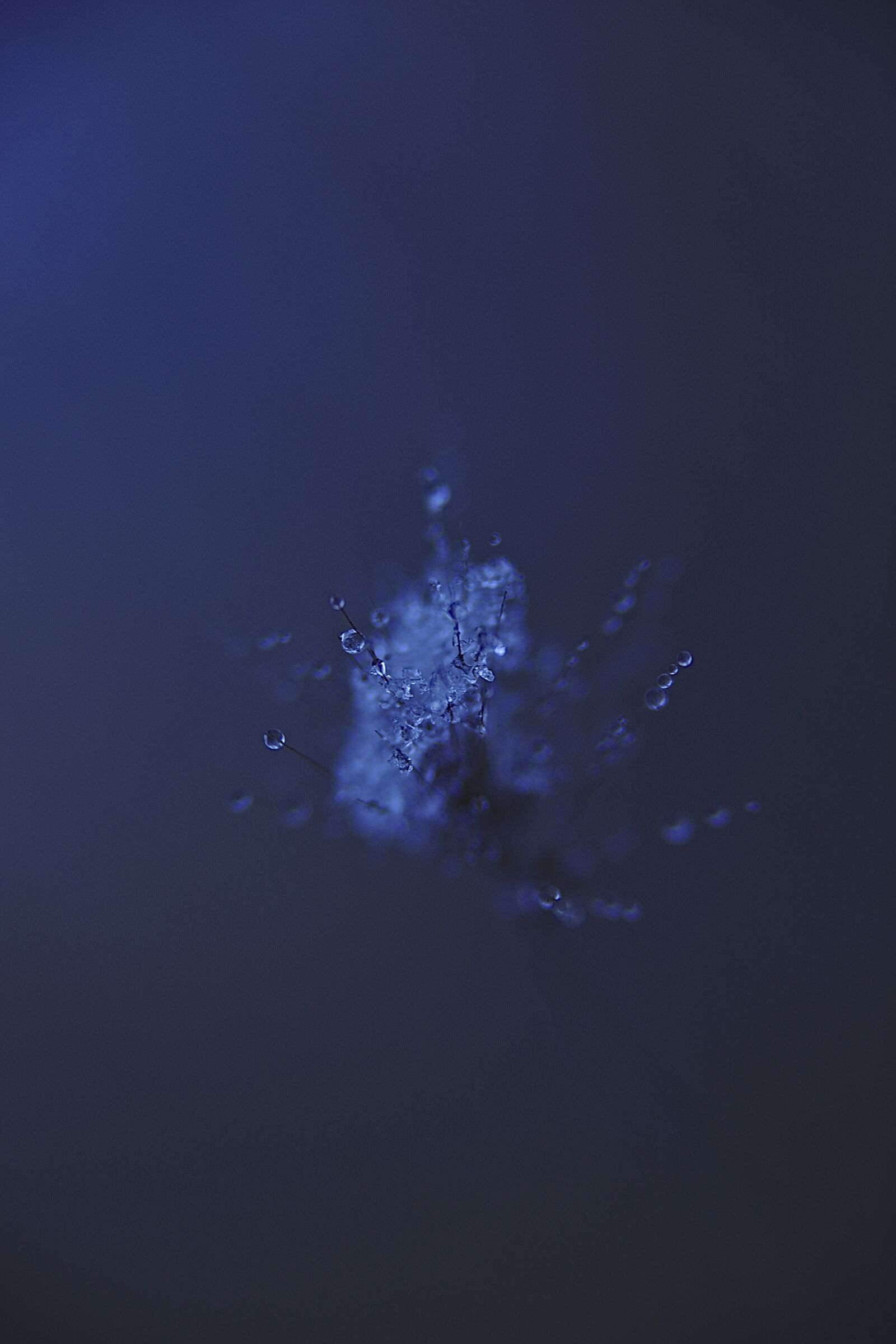 Canon EOS 6D Mark II sample photo. Winter, ice, frozen photography