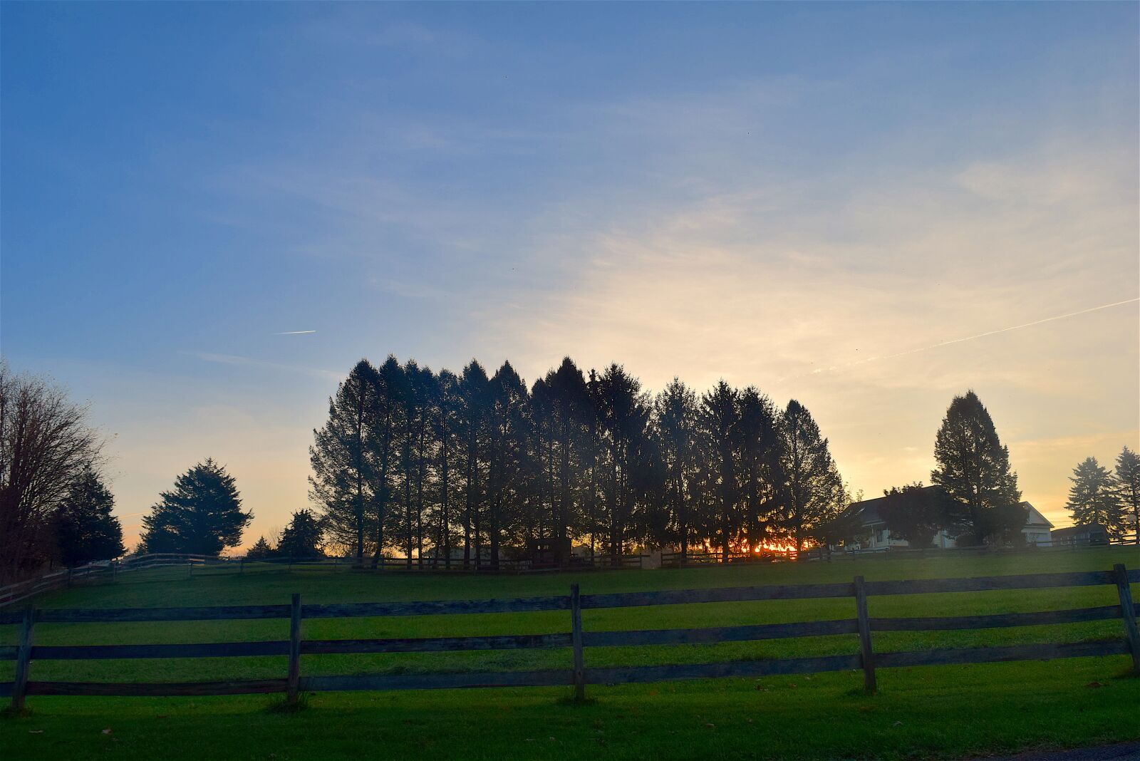 Nikon D3300 sample photo. Sunset, trees, silhouette photography