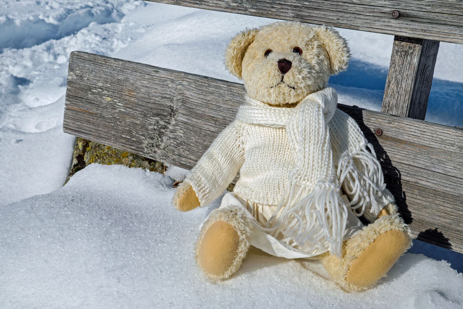 Fujifilm X-T10 sample photo. Teddy, plush, bears photography