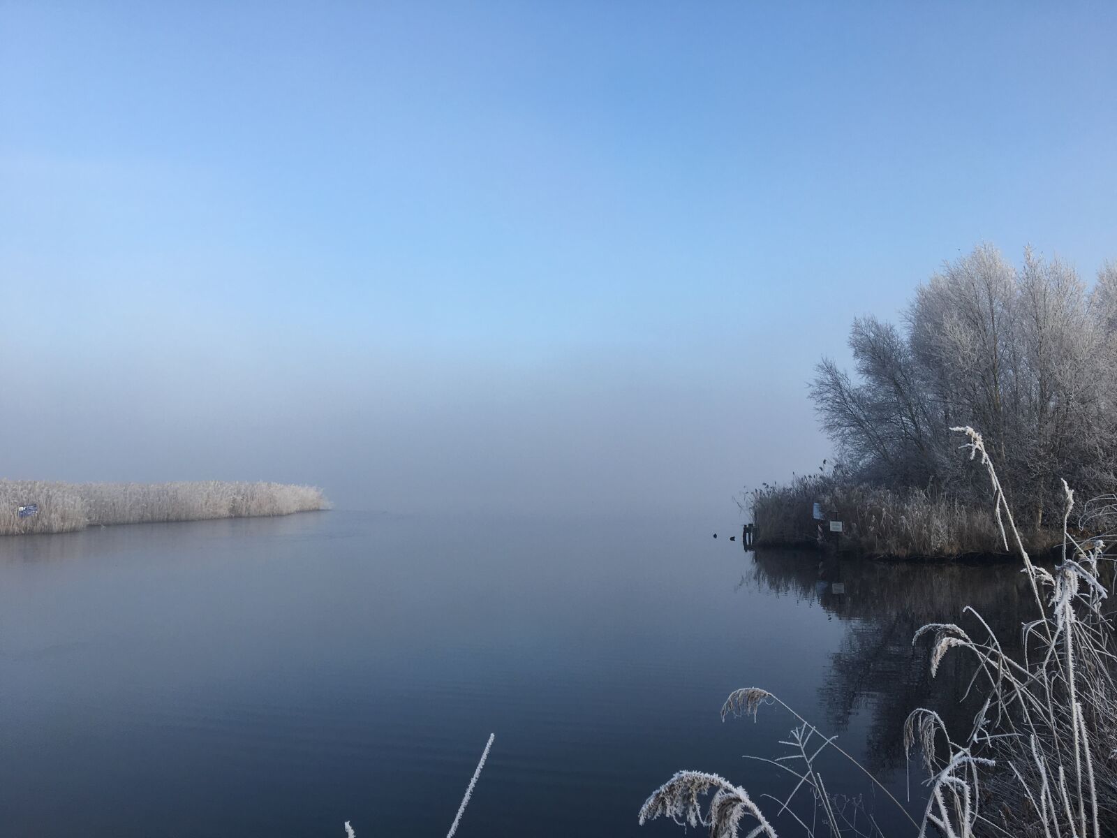 Apple iPhone 6s sample photo. Fog, frost, lake photography