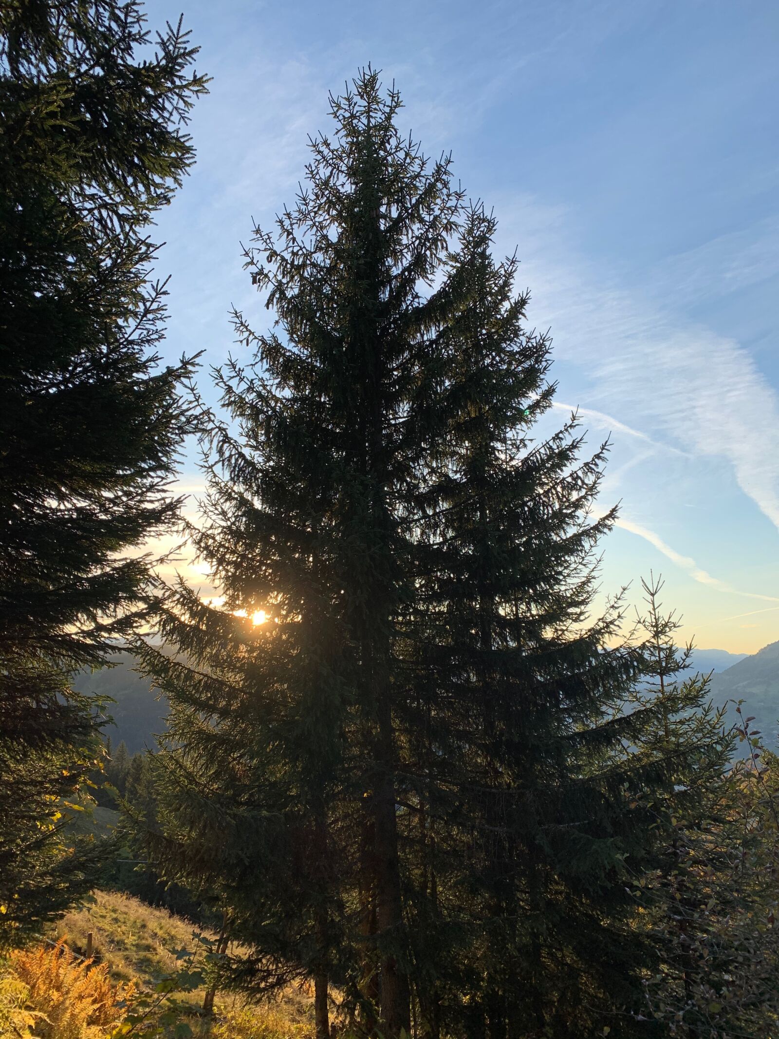 iPhone XR back camera 4.25mm f/1.8 sample photo. Graub nden, praettigau, east photography