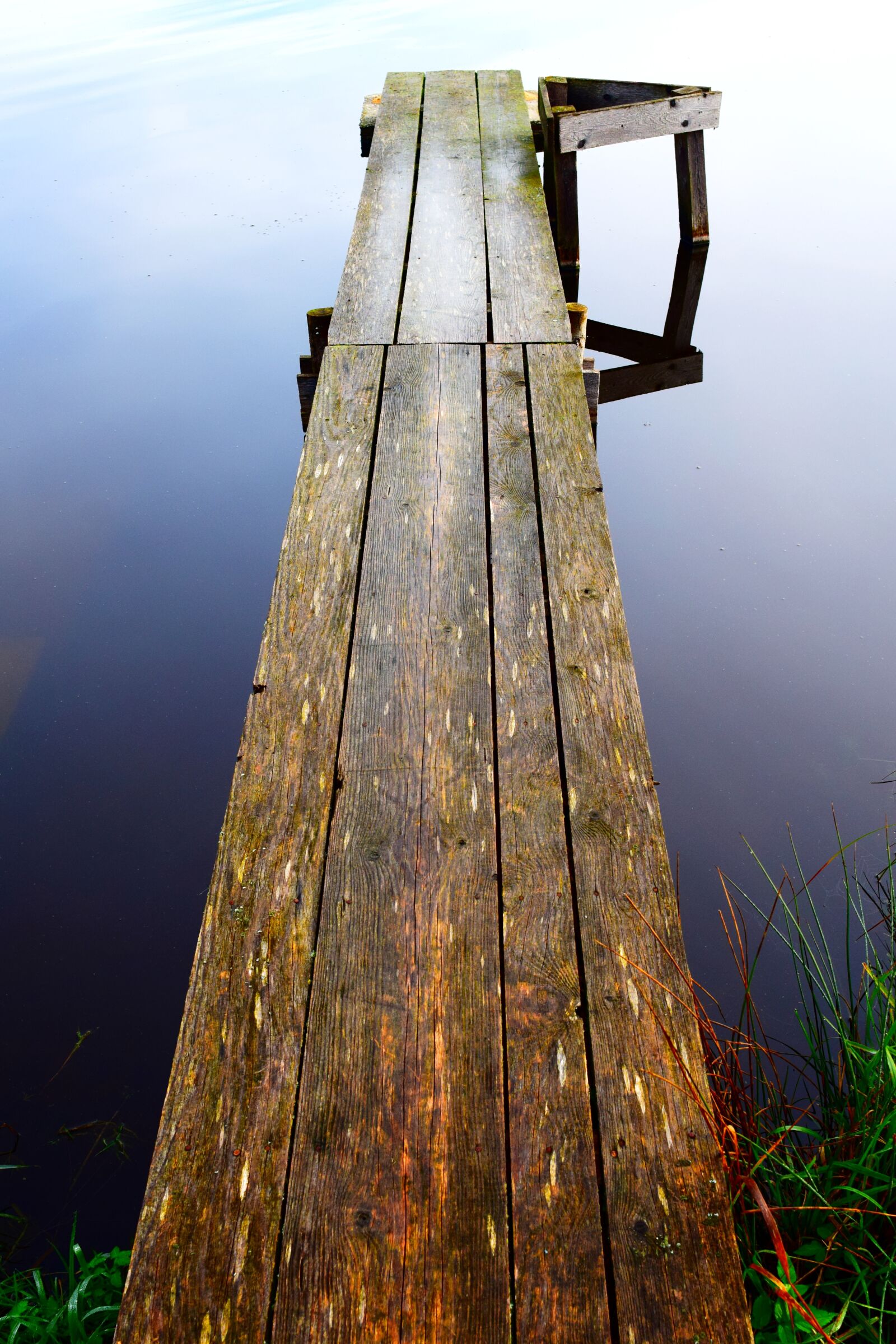 Nikon D3300 sample photo. Web, water, lake photography