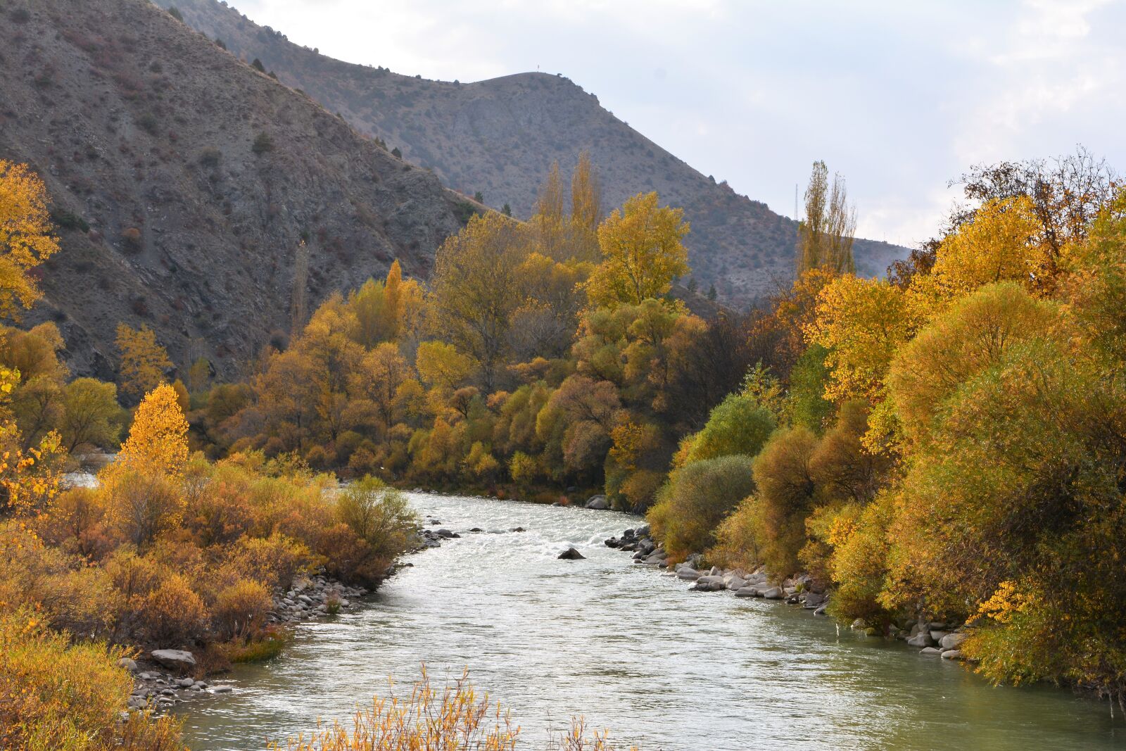 Nikon D7100 sample photo. Coruh river, river, streaming photography