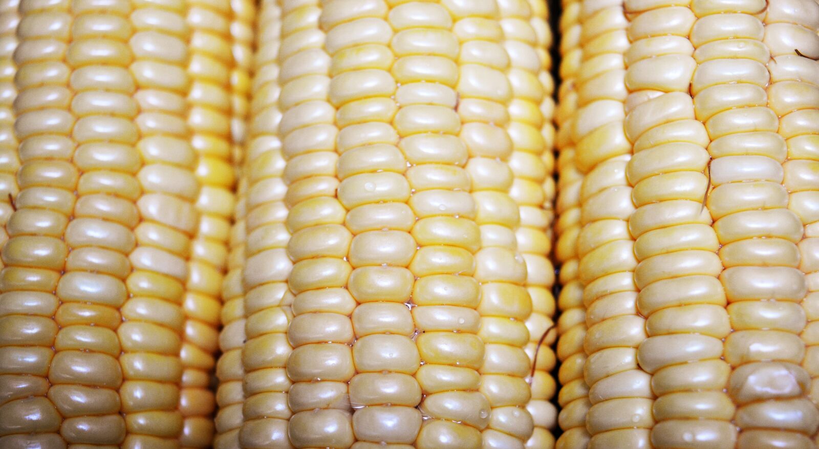 Nikon D5200 sample photo. Corn, pattern, food photography
