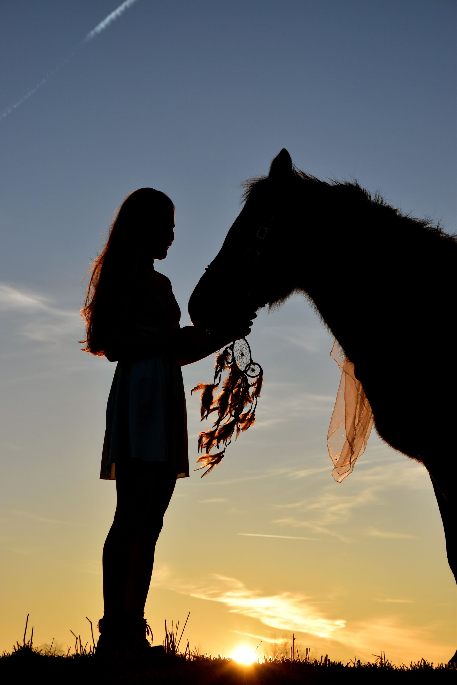 Nikon D3300 sample photo. Sunrise, silhouette, horse photography