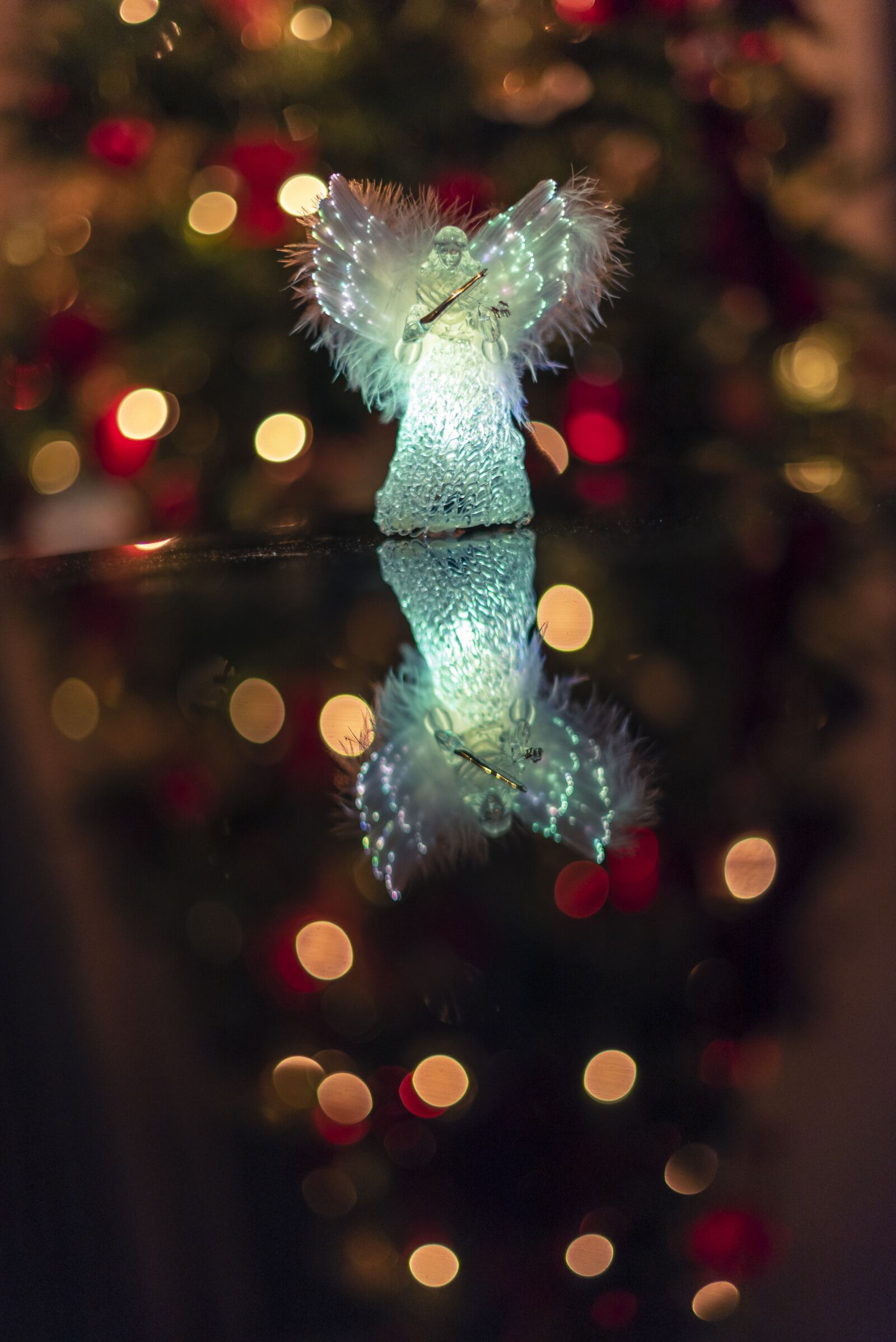 Nikon D750 sample photo. Christmas, lights, holiday photography