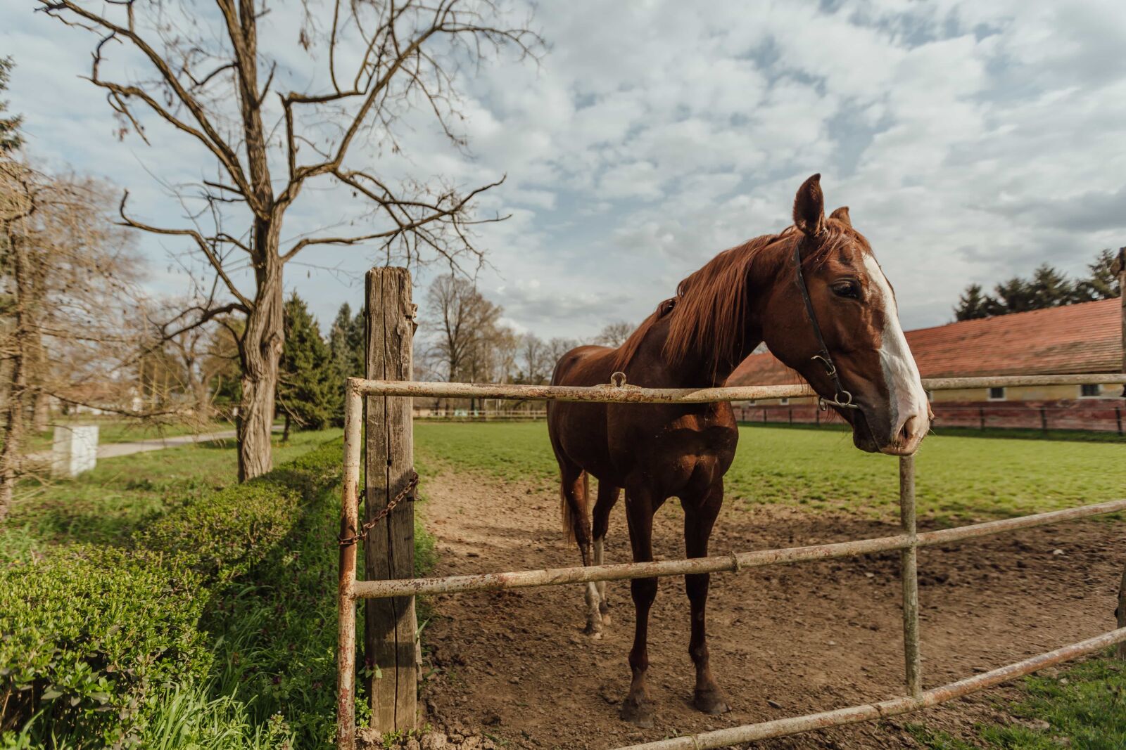 Canon EF 16-35mm F2.8L II USM sample photo. Farmhouse, farmland, horse, livestock photography